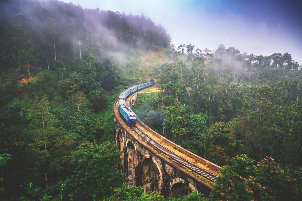 ELLA TRAIN RIDE